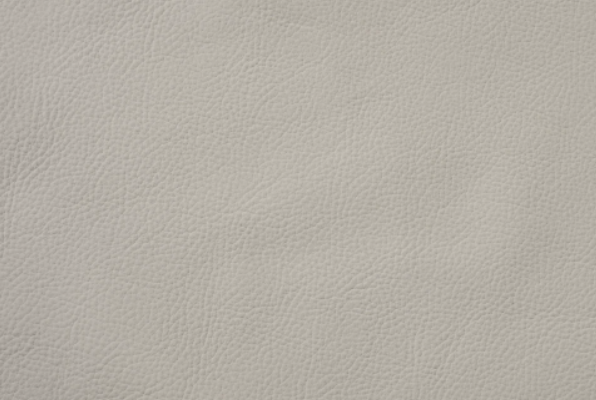 32001-Champagne Rose